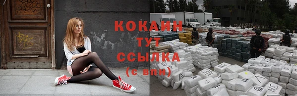 крисы Новокубанск