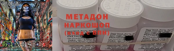 сатива Новодвинск