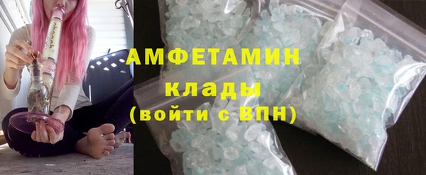 сатива Новодвинск