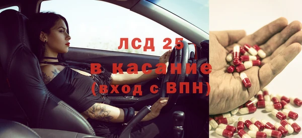 крисы Новокубанск
