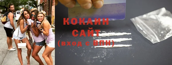 индика Новозыбков