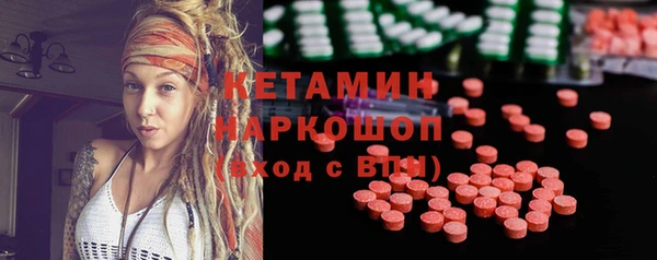 индика Новозыбков
