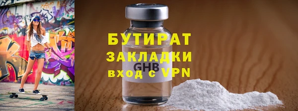 индика Новозыбков