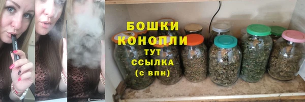 индика Новозыбков