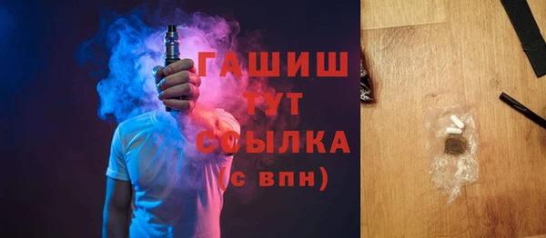 индика Новозыбков