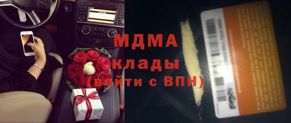 сатива Новодвинск