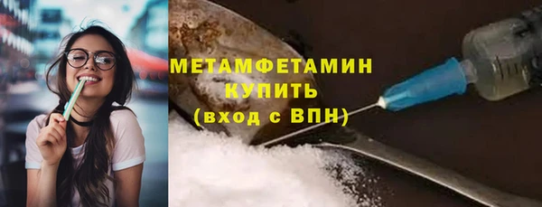 сатива Новодвинск