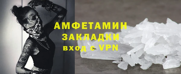 сатива Новодвинск