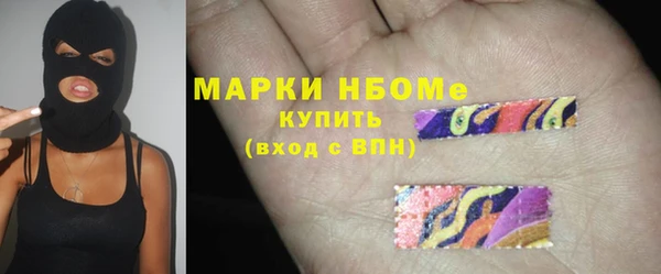 сатива Новодвинск