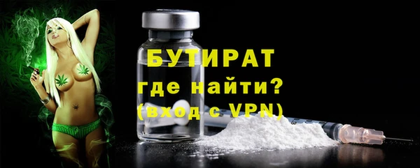 сатива Новодвинск