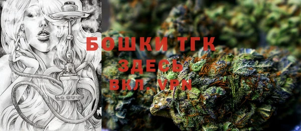 индика Новозыбков