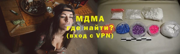 индика Новозыбков