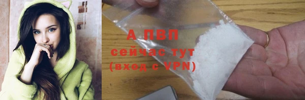 крисы Новокубанск