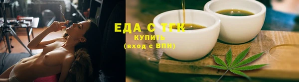индика Новозыбков