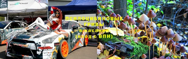 сатива Новодвинск