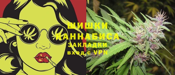 сатива Новодвинск
