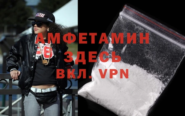 индика Новозыбков