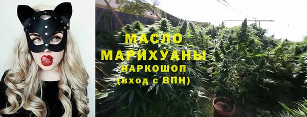 индика Новозыбков