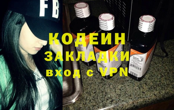 индика Новозыбков