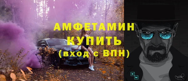 индика Новозыбков