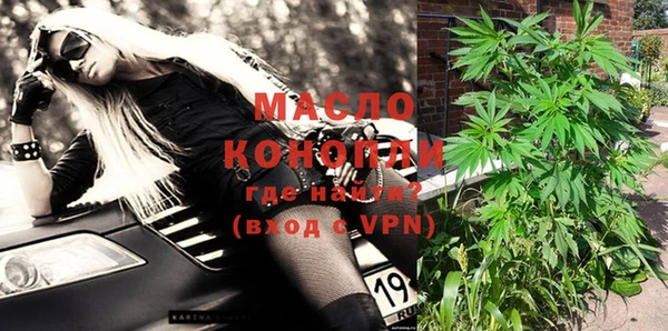 индика Новозыбков