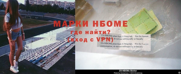 крисы Новокубанск