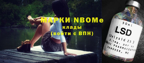 крисы Новокубанск