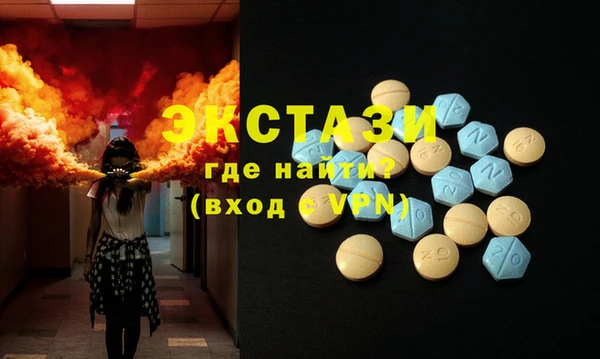 сатива Новодвинск
