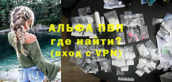 индика Новозыбков