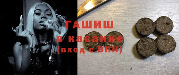 индика Новозыбков