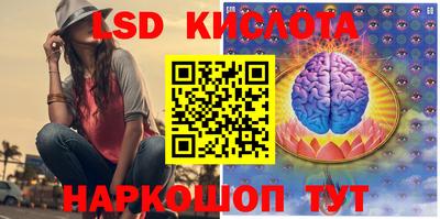 эйфоретик Аргун