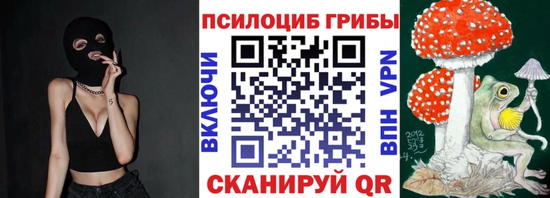 Псилоцибиновые грибы Psilocybe  Апрелевка 