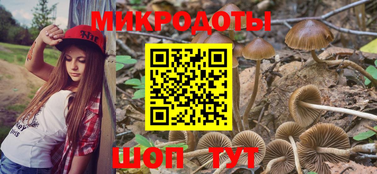 Галлюциногенные грибы прущие грибы Апрелевка