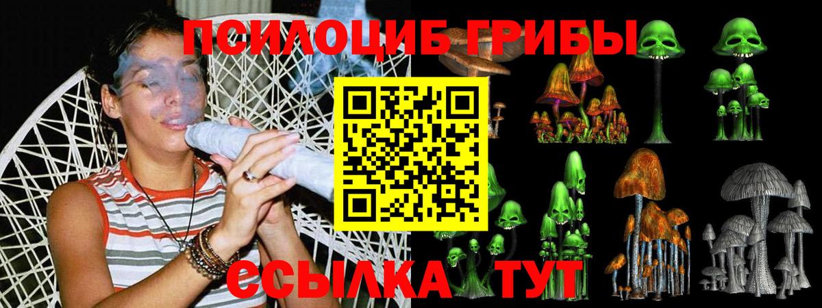 Псилоцибиновые грибы MAGIC MUSHROOMS Апрелевка