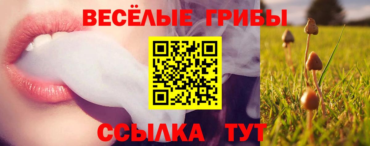 Галлюциногенные грибы мухоморы  Вход с VPN  Апрелевка  Псилоцибиновые грибы GOLDEN TEACHER 