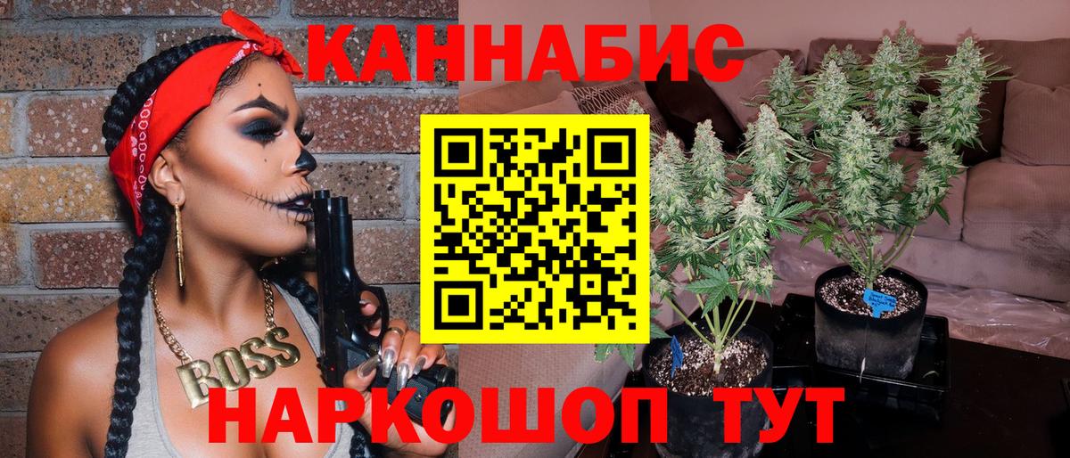 Канабис сатива Апрелевка